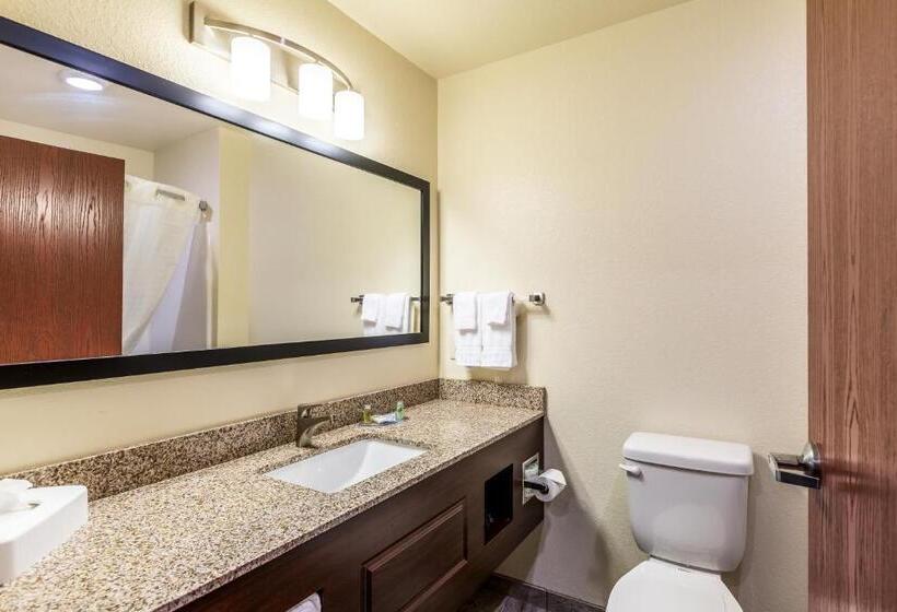 سوییت لوکس, Cobblestone Inn & Suites  Fairfield Bay
