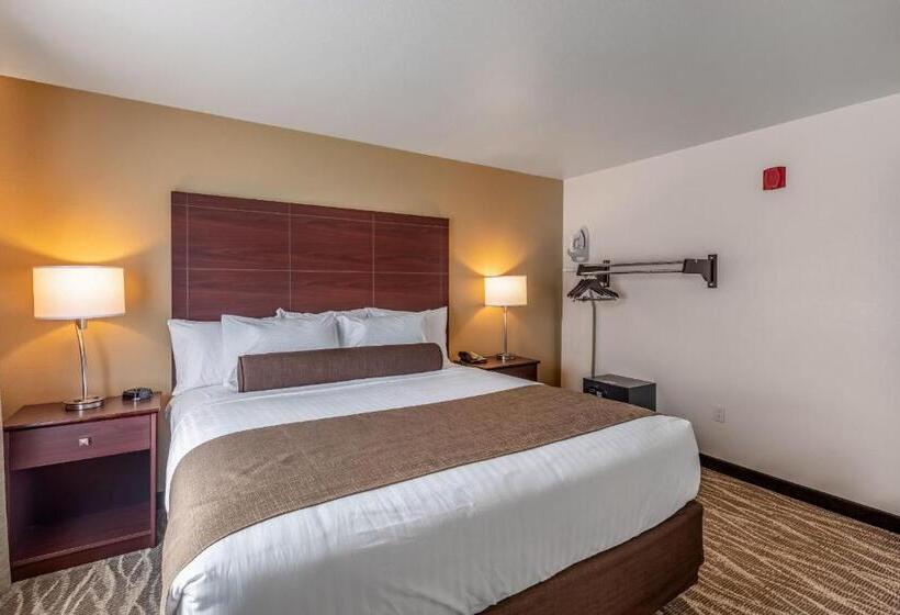 سوییت لوکس, Cobblestone Inn & Suites  Fairfield Bay