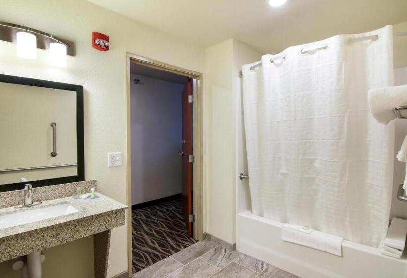 اتاق استاندارد با تخت بزرگ برای معلولان, Cobblestone Inn & Suites  Fairfield Bay