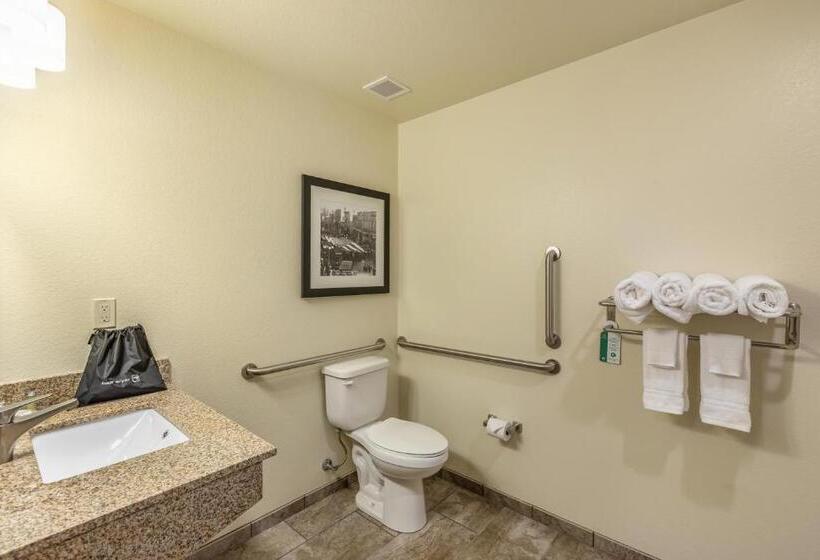 اتاق استاندارد با تخت بزرگ برای معلولان, Cobblestone Inn & Suites  Fairfield Bay