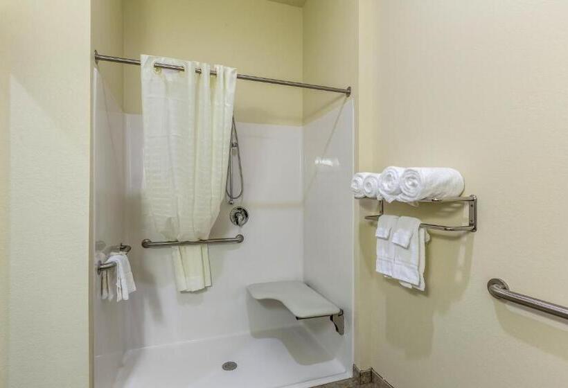 اتاق استاندارد برای معلولان, Cobblestone Inn & Suites  Fairfield Bay
