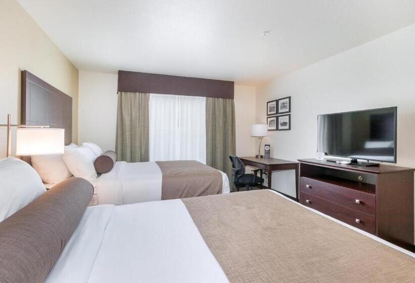 اتاق استاندارد برای معلولان, Cobblestone Inn & Suites  Fairfield Bay