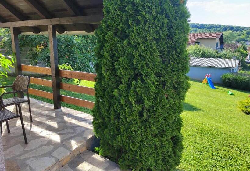 استودیوی استاندارد, Garden 022