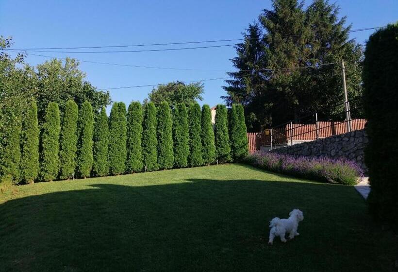 استودیوی استاندارد, Garden 022