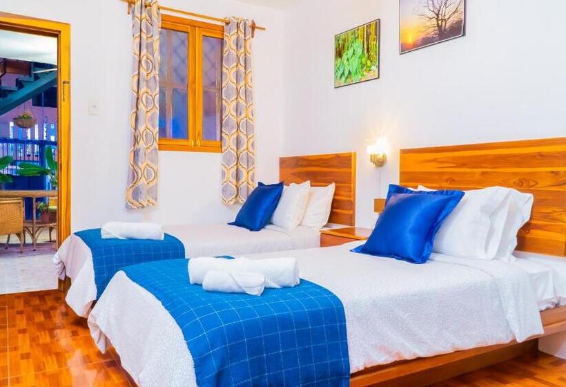 اتاق استاندارد, Boutique Platanal