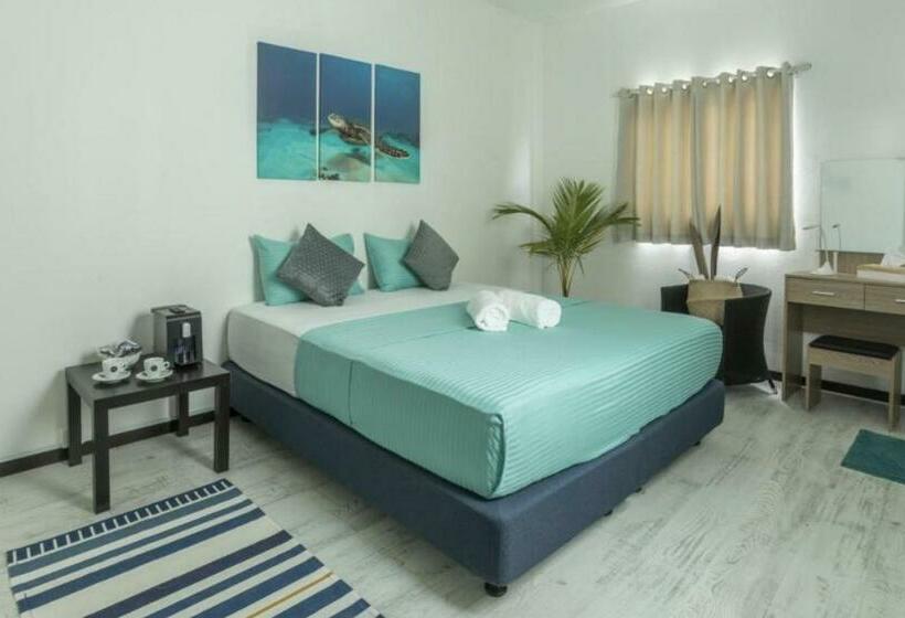 اتاق استاندارد, Surf Yoga Camp