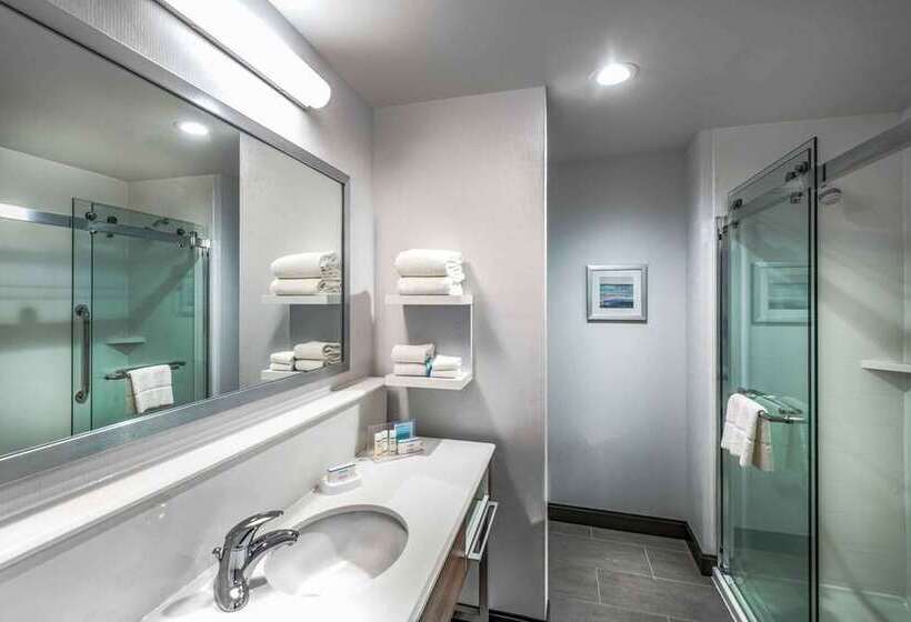 اتاق استاندارد, Hampton Inn Champaign Southwest