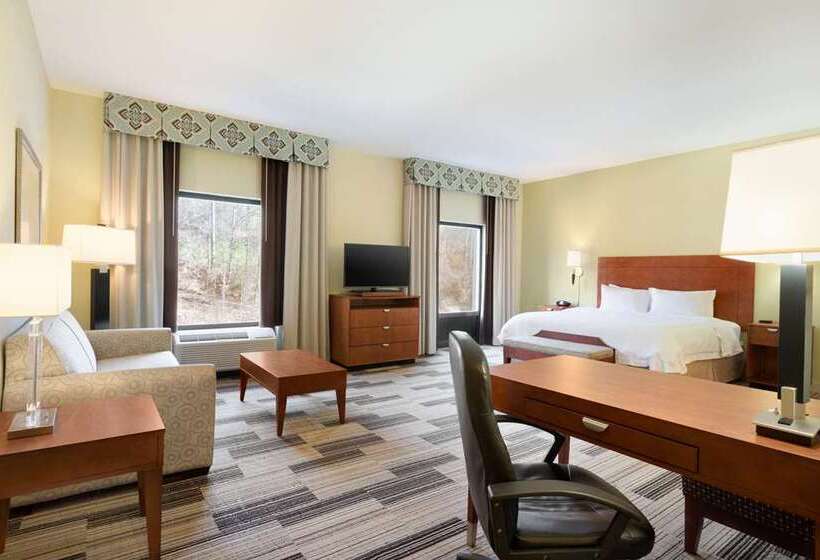 اتاق استاندارد با تخت بزرگ, Hampton Inn Champaign Southwest