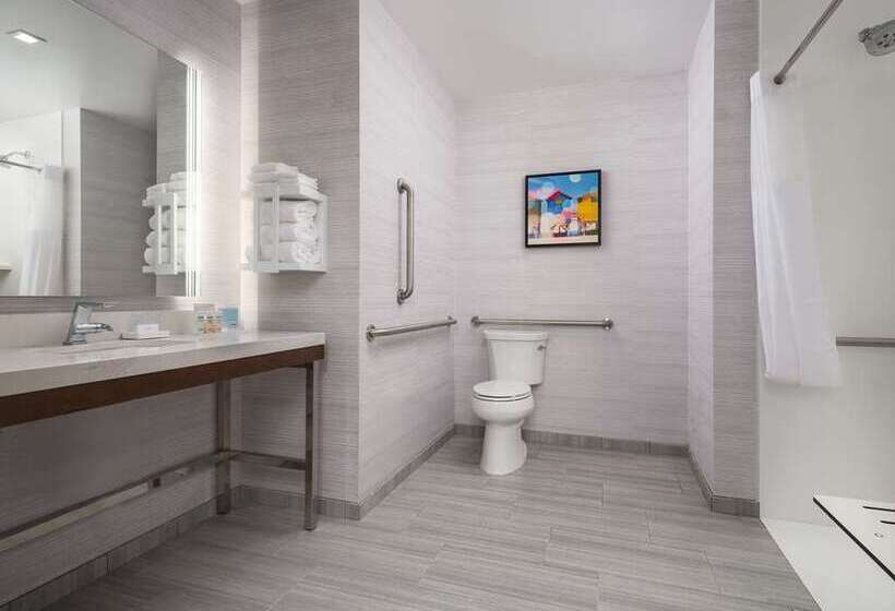 اتاق استاندارد با تخت بزرگ, Hampton Inn Champaign Southwest