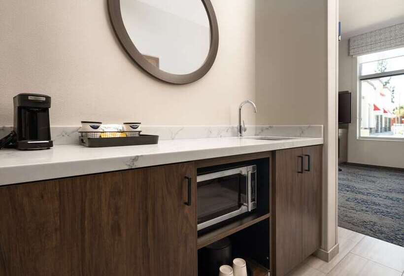 اتاق استاندارد با تخت بزرگ, Hampton Inn Champaign Southwest