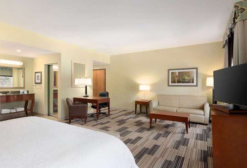 اتاق استاندارد با تخت بزرگ, Hampton Inn Champaign Southwest