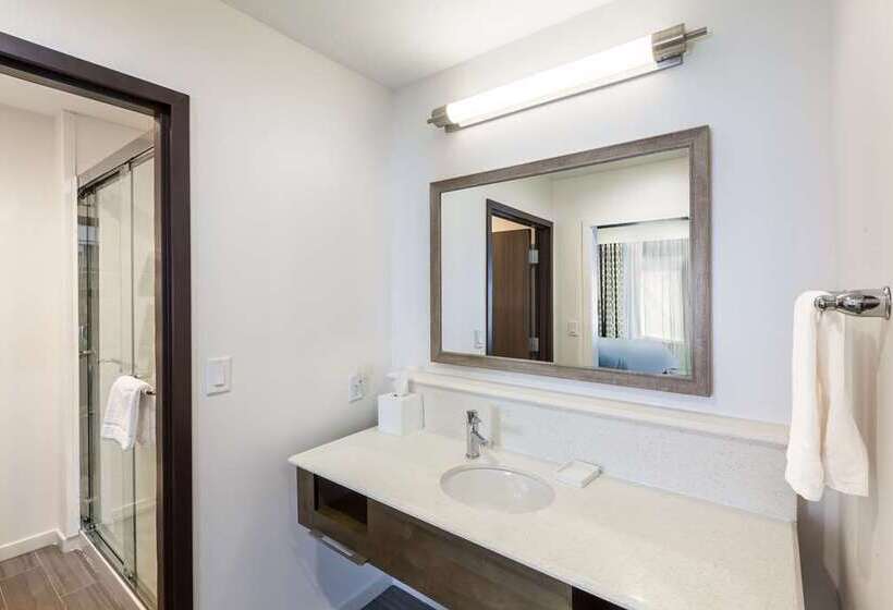 اتاق استاندارد, Hampton Inn Champaign Southwest