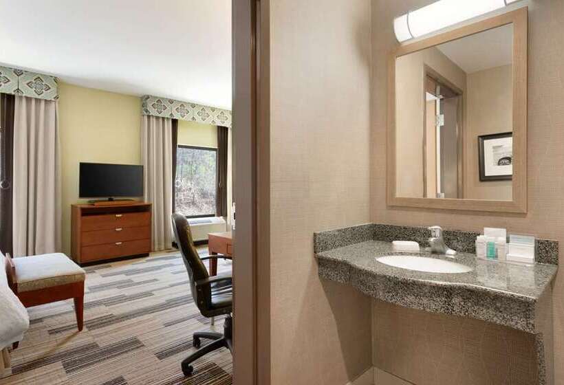 اتاق استاندارد با تخت بزرگ, Hampton Inn Champaign Southwest