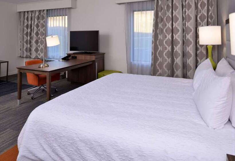 اتاق استاندارد با تخت بزرگ, Hampton Inn Champaign Southwest