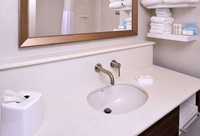 اتاق استاندارد با تخت بزرگ, Hampton Inn Champaign Southwest
