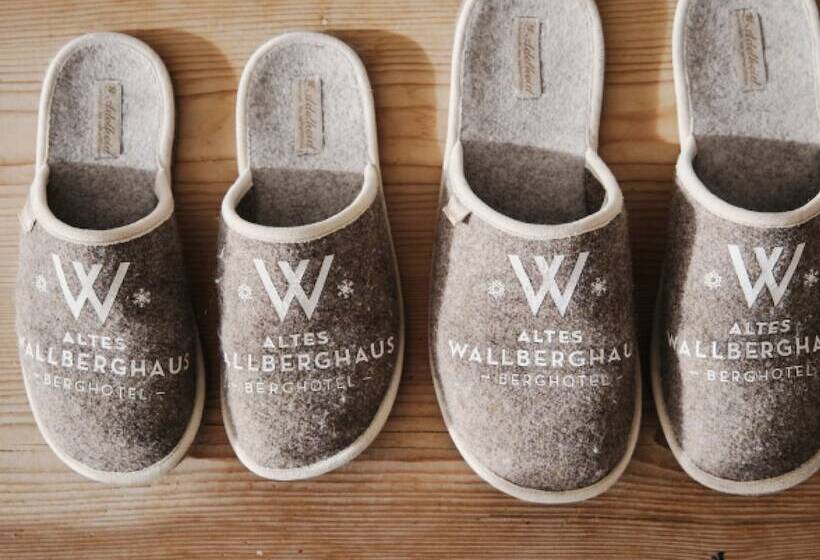اتاق استاندارد با سرویس بهداشتی مشترک, Berghotel Altes Wallberghaus