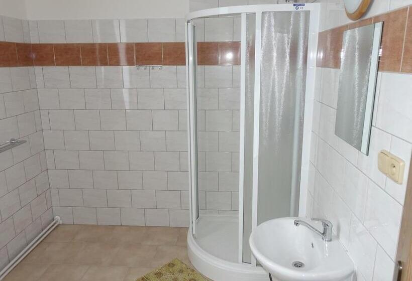 اتاق استاندارد, Staříč