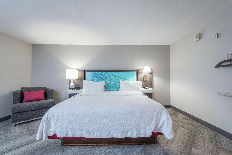 اتاق استاندارد با تخت بزرگ, Hampton Inn & Suites Chicago/waukegan
