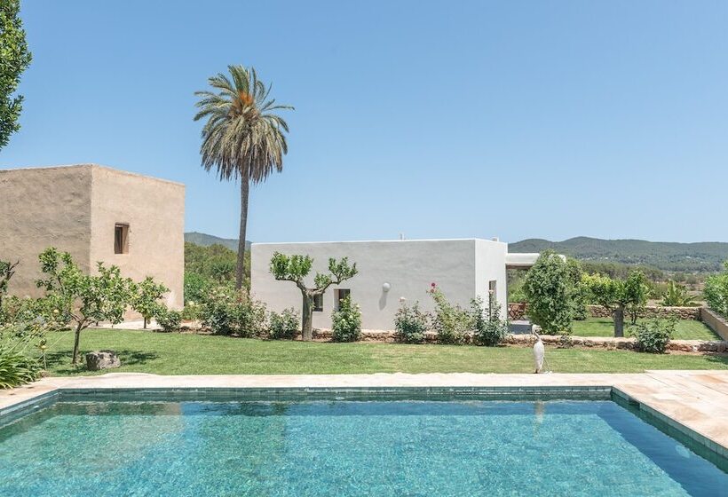 سوییت, Safragell Ibiza Suites & Spa