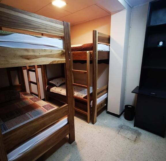 تختخواب در اتاق مشترک, Toucan Hostel