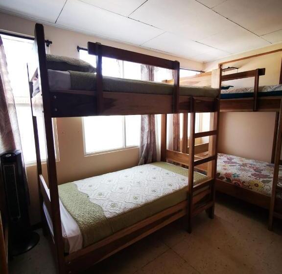 تختخواب در اتاق مشترک, Toucan Hostel
