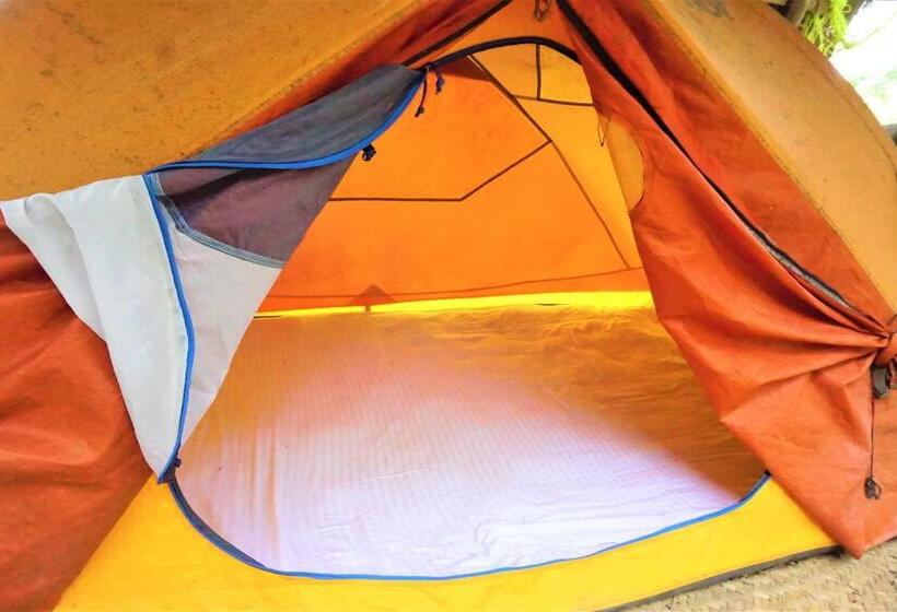 چادر با خدمات رفاهی استاندارد, Happy Lemon Tree Lodge