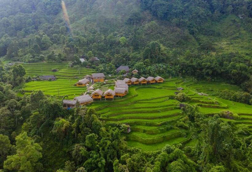 اتاق لوکس یک تخته, Hoang Su Phi Lodge