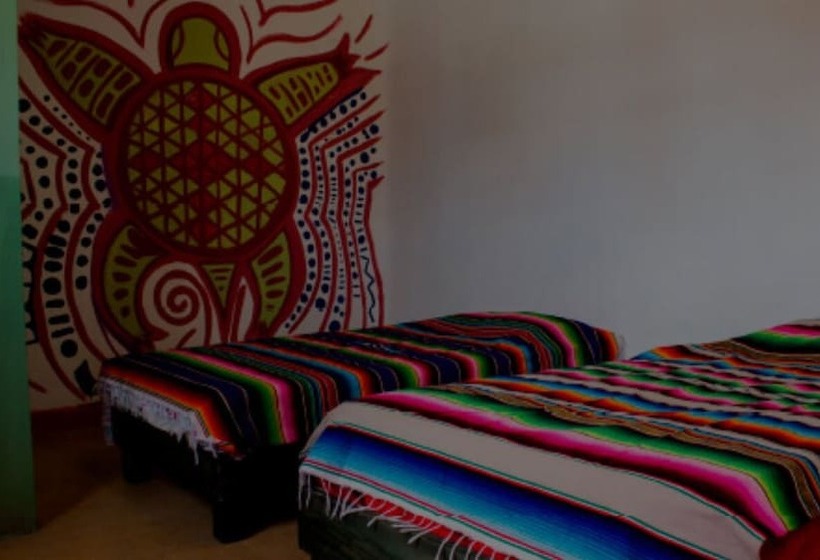 اتاق استاندارد, Hostal Chesal