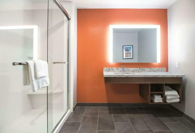 اتاق استاندارد با تخت بزرگ, La Quinta By Wyndham Waco Baylor Downtown