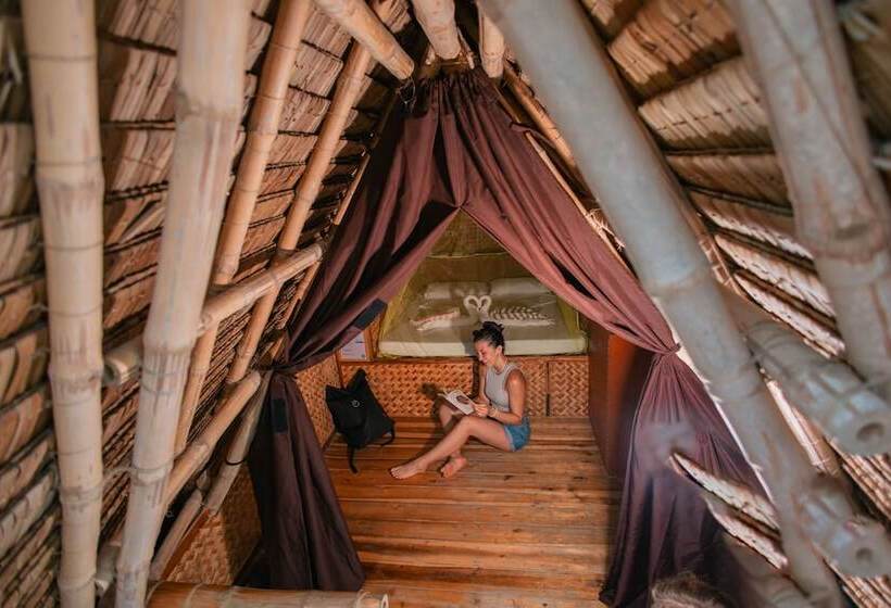 اتاق استاندارد, Mad Monkey Hostel Nacpan Beach