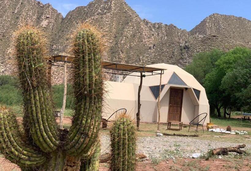 اتاق استاندارد سه نفره, Hacienda Casa Blanca