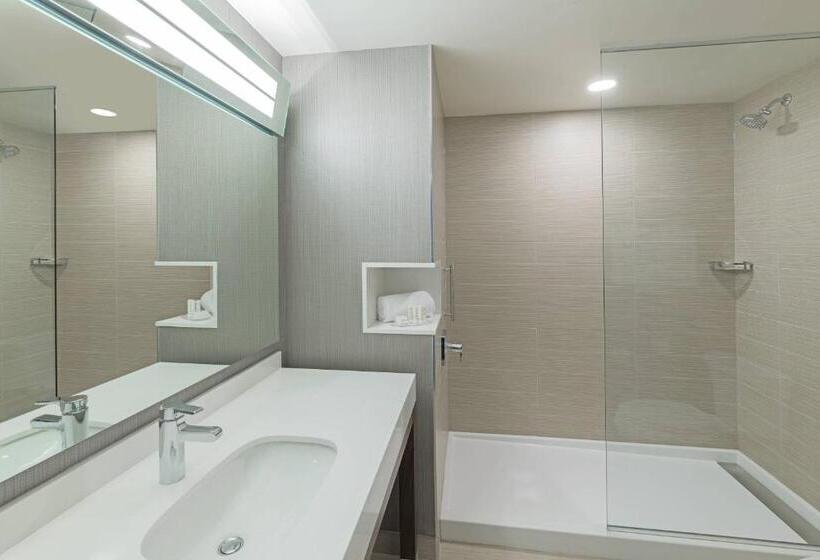 اتاق استاندارد با تخت بزرگ, Courtyard By Marriott Halifax Dartmouth