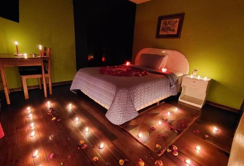اتاق استاندارد یک نفره, Hostal Bolívar Inn