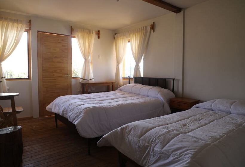 اتاق استاندارد, Schatzi Lodge