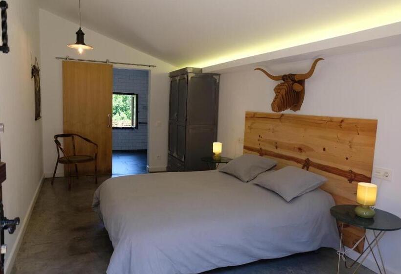 اتاق استاندارد, Casa Carmina Hostel