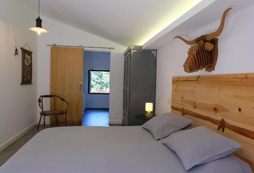 اتاق استاندارد, Casa Carmina Hostel