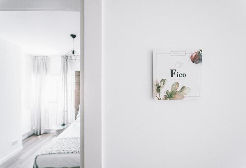 اتاق لوکس, Vandelia B&b