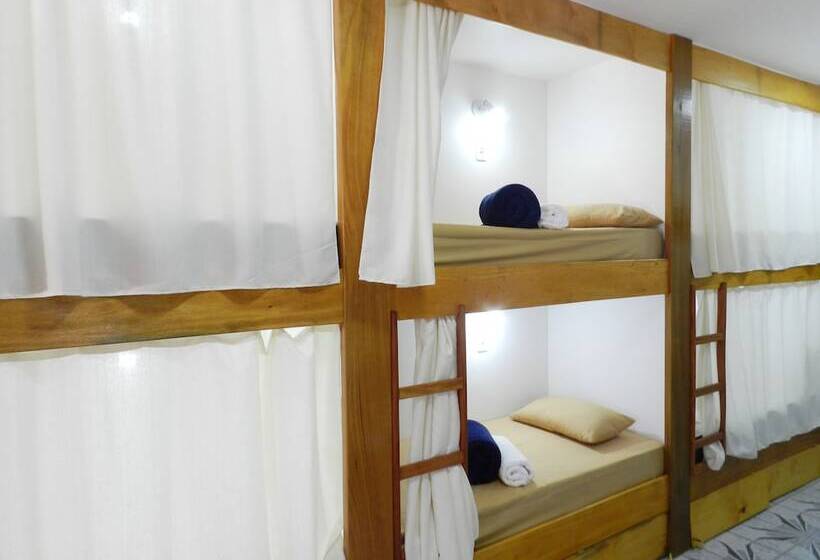 تختخواب در اتاق مشترک, Utopia Hostel