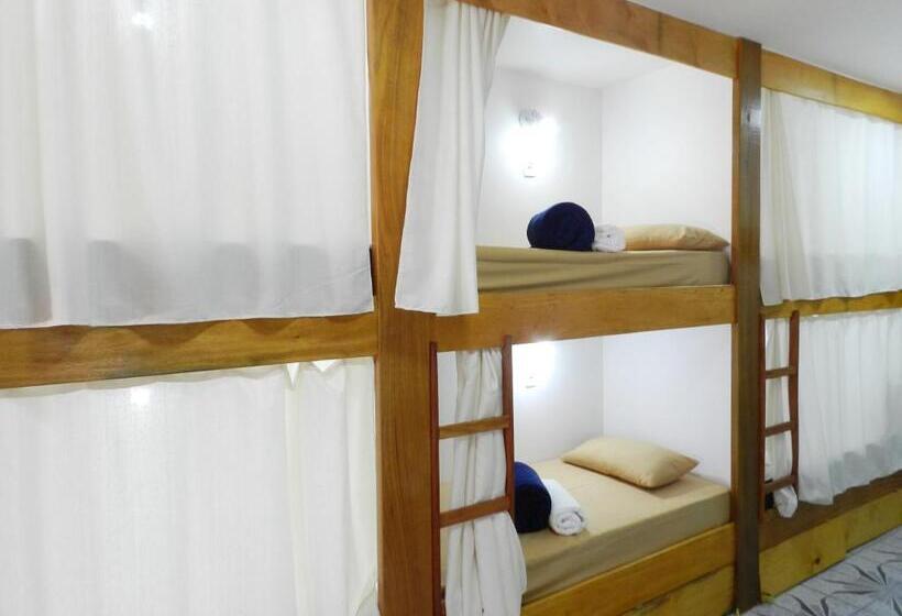 اتاق خانوادگی با سرویس بهداشتی مشترک, Utopia Hostel
