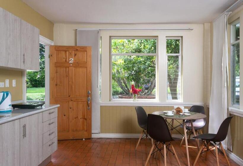 استودیوی استاندارد, Airport Costa Rica B&b