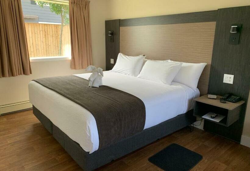 اتاق لوکس با تخت بزرگ, Cairns Motel
