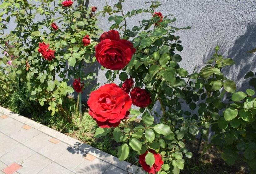 اتاق استاندارد با چشم‌انداز باغ, Vila Mila Riverside Apartments