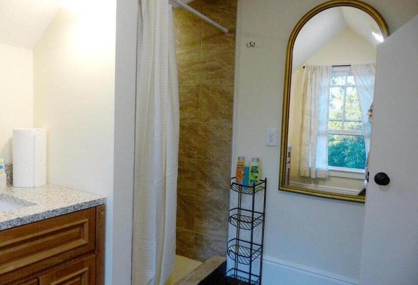 اتاق استاندارد یک تخته با سرویس بهداشتی مشترک, Davis Square Inn