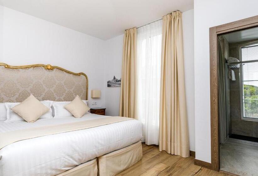 デラックスルーム, Suite Home Pinares