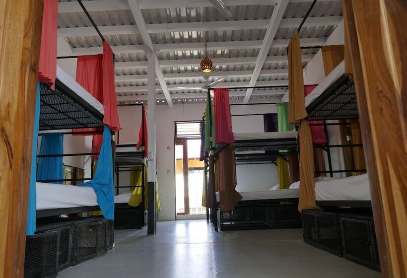 تختخواب در اتاق مشترک, Casa Oro Eco Hostel