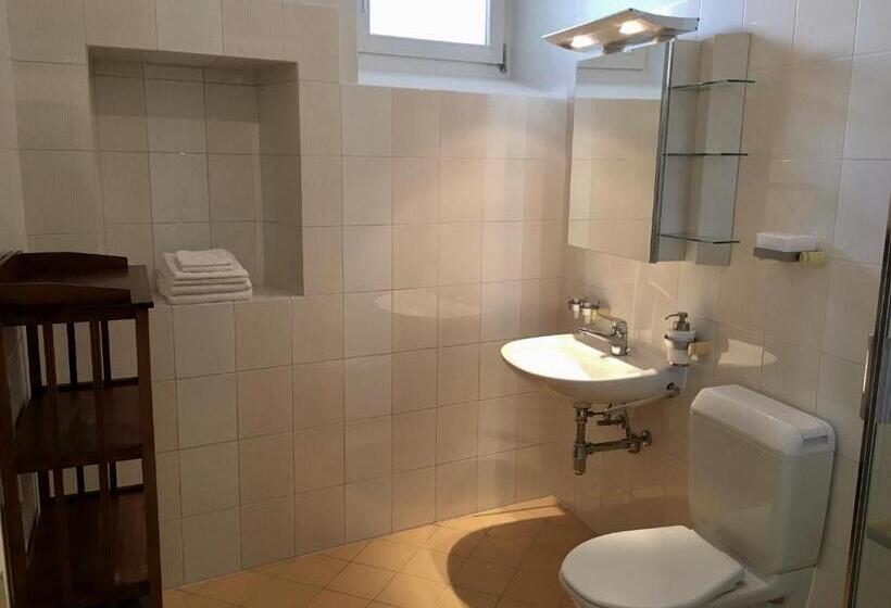 1 Sovrums Lägenhet, Great2stay City Center Apartments Locarno