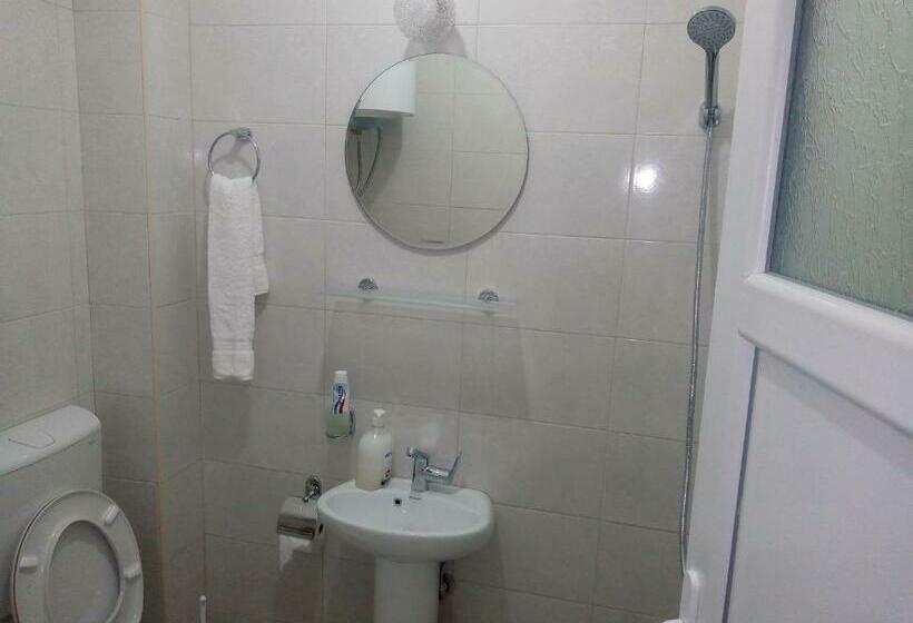 اتاق استاندارد, Airport Home Radinovic