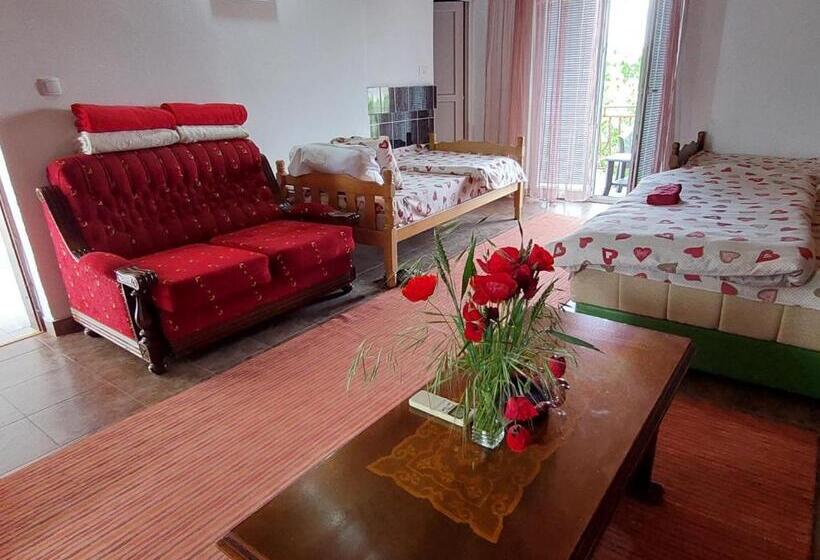 اتاق استاندارد چهار تخته, Airport Home Radinovic