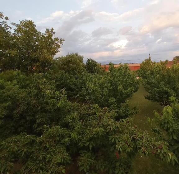 اتاق استاندارد چهار تخته, Airport Home Radinovic