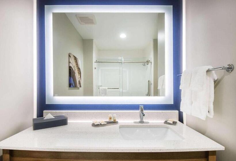 اتاق اجرایی با تخت بزرگ, La Quinta By Wyndham Buffalo Amherst